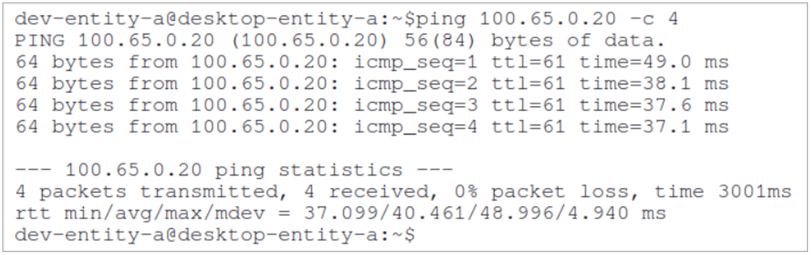 ICMP Ping Output