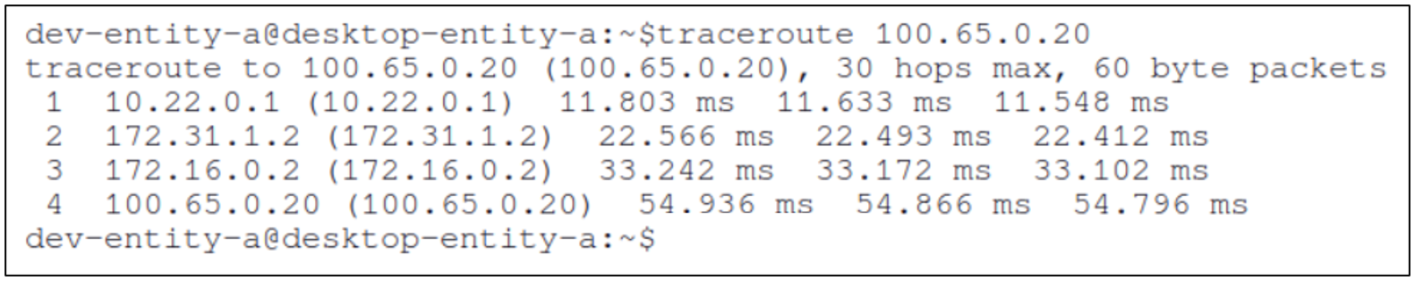 Traceroute Output